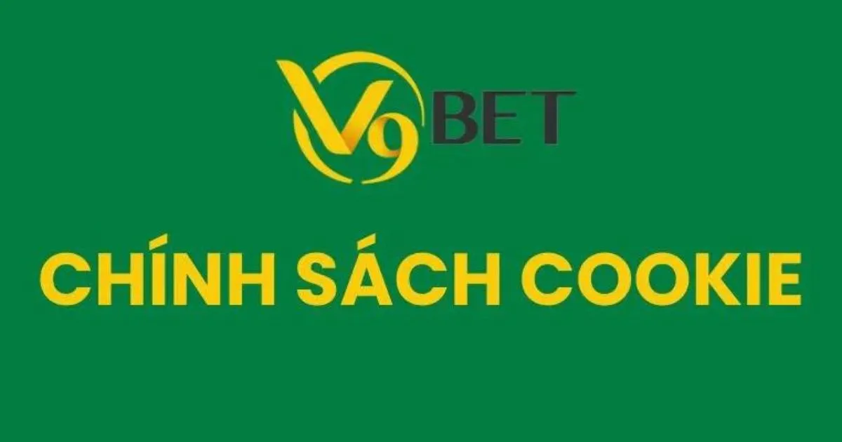 Một số lưu ý khi tìm hiểu chính sách cookie V9BET